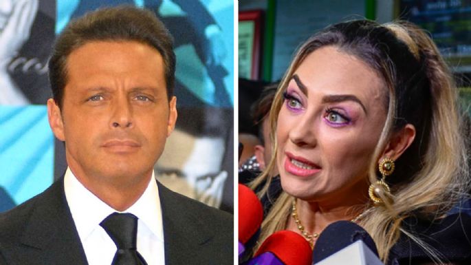 Mientras Luis Miguel cena en restaurantes lujosos, Aracely Arámbula le cocina a sus hijos