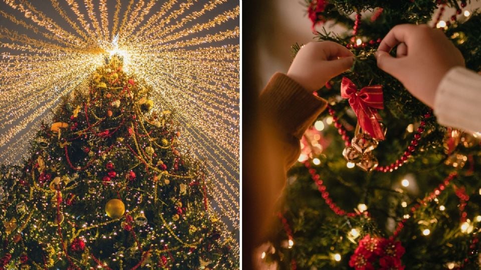 Árbol de Navidad: Tendencias y consejos para que te dure más