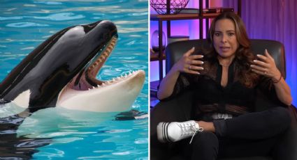 Kate del Castillo cuenta lo difícil que fue grabar con la orca Keiko en la telenovela “Azul”