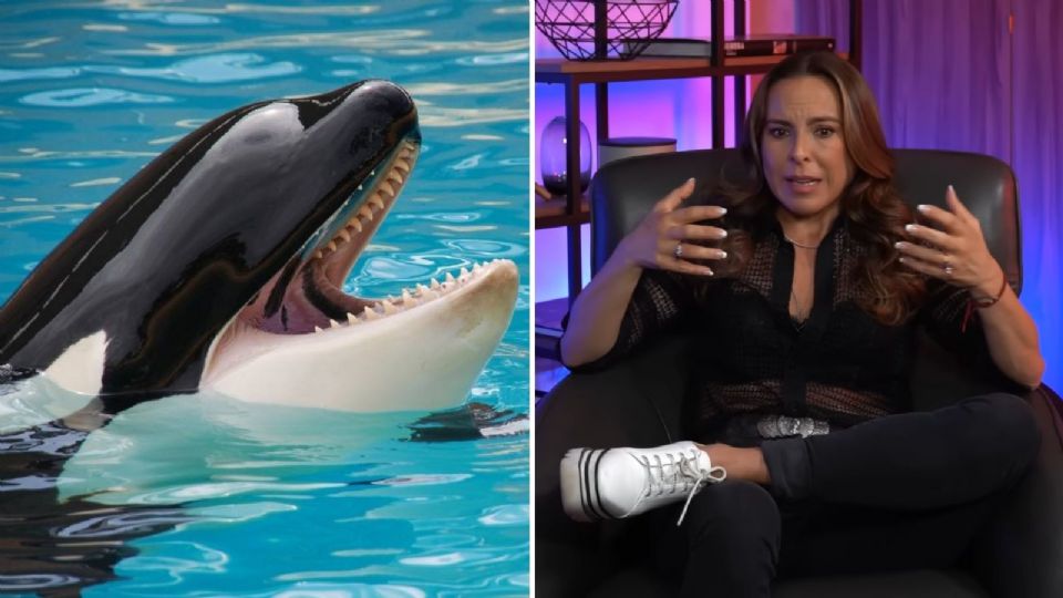 Kate del Castillo cuenta lo difícil que fue grabar con la orca Keiko en la telenovela “Azul”