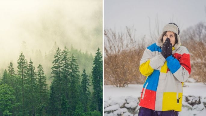 Fenómeno El Niño traerá fuertes lluvias a México en invierno; zonas más afectadas