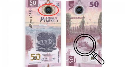 Cómo identificar un billete falso de 50 pesos? Así debe lucir el ajolote