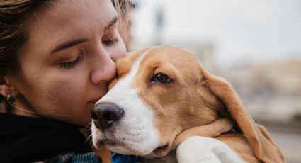 Conoce los beneficios de abrazar a tu perro; esto dice la ciencia