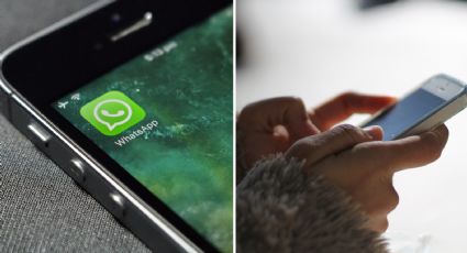¿Cuántos mensajes de WhatsApp mandas al día? De este modo puedes saberlo