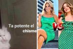 Andrea Legarreta VS Anette Cuburu: Los mejores memes del pleito entre las famosas
