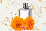 3 Perfumes de Cempasúchil inspirados en las tradiciones de Día de Muertos