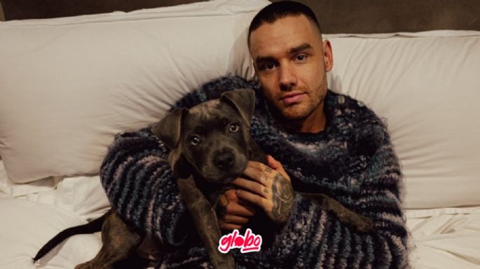 Liam Payne, ex One Direction muere tras caer de un tercer piso, ¿Qué pasó?