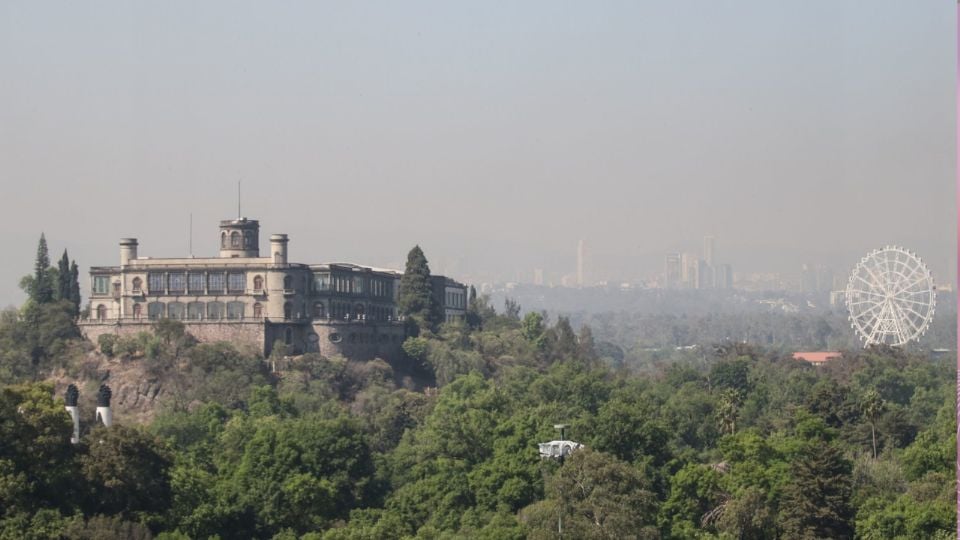 Dos grandes parques compiten, el Bosque de Chapultepec en la Ciudad de México, y el Central Park de Nueva York. ¿Cuál será el mejor?
