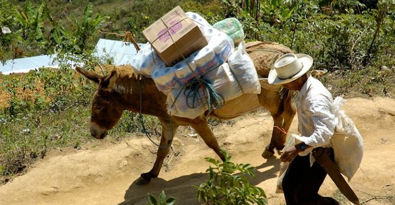 La comunidad Mixe se localiza al noroeste de Oaxaca.