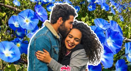 Día del Novio: ¿Cuál es el significado de regalar flores azules hoy 3 de octubre?