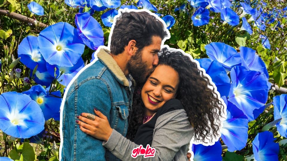 ¿Por qué se regalan flores azules?