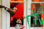 Foto ilustrativa de la nota titulada: Las 5 mejores películas y series de Zombies según los expertos