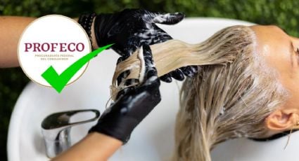 ¿Buscas el look ideal para Navidad?: Esta es la MEJOR marca avalada por PROFECO para teñir tu cabello SIN DAÑARLO