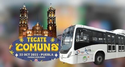 Tecate Comuna 2024: Precio y horario de las rutas de transporte nocturno para llegar al festival