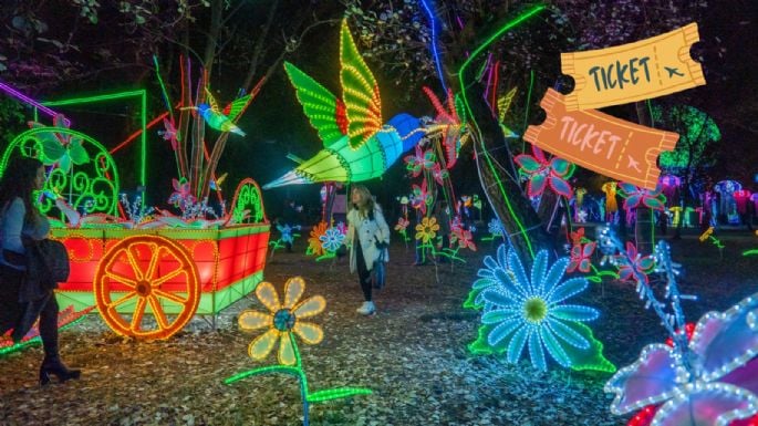 Atlixco:’Brilla Fest 2024’ ¿Cuánto cuestan y qué incluyen los boletos para el Bosque Iluminado?