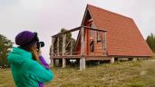 Foto ilustrativa de la nota titulada: Las cabañas entre las nubes que debes visitar si quieres disfrutar del frío en este Pueblo Mágico de Querétaro