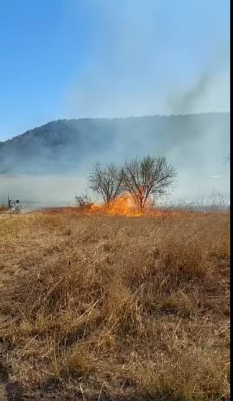 Incendio en san luis potosi causado por producción de disney+