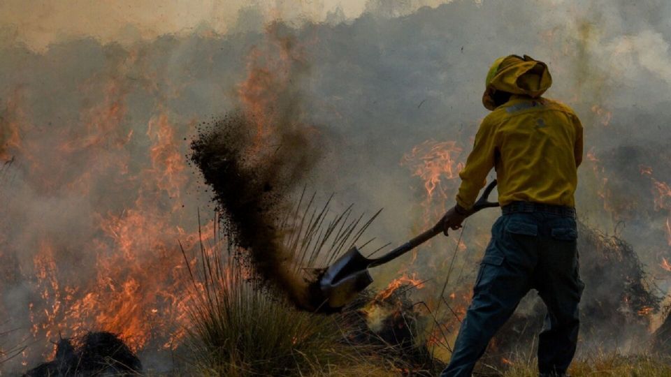 El incendio en Armadillo de los Infantes, en San Luis Potosí, puso en riesgo a las personas que trabajaban en la zona.