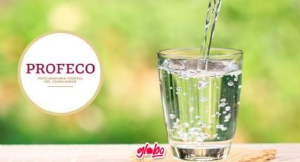 Mejor purificador de agua según Profeco, olvídate de las botellas desechables