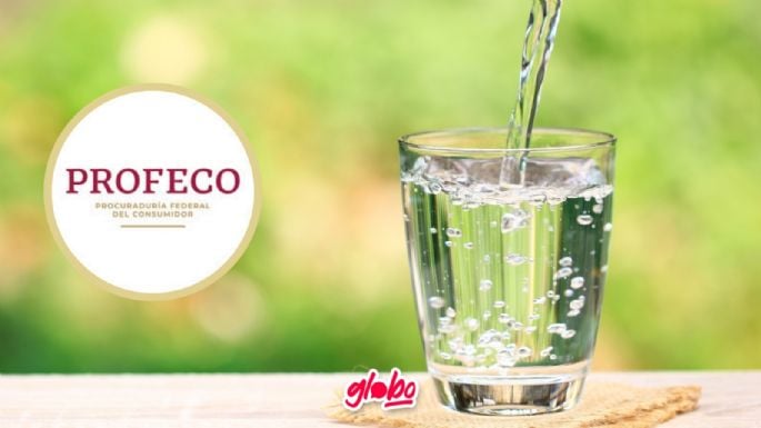 Mejor purificador de agua según Profeco, olvídate de las botellas desechables