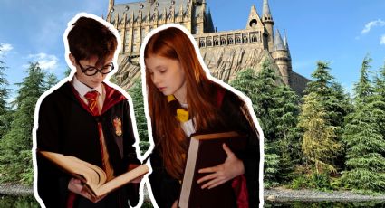 Conoce el bosque de Guanajuato: Un paraíso natural al estilo de Harry Potter