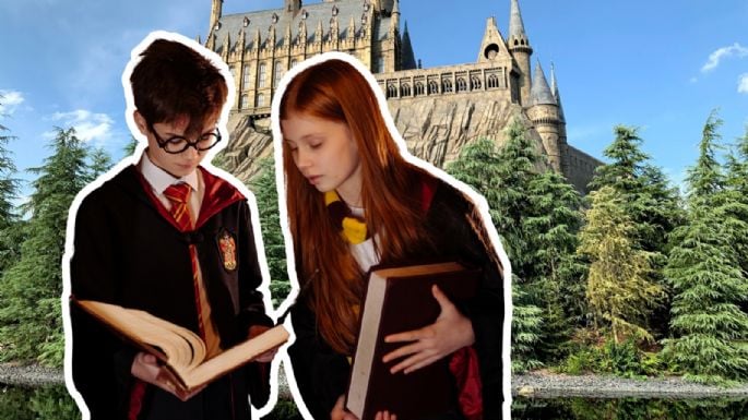 Conoce el bosque de Guanajuato: Un paraíso natural al estilo de Harry Potter