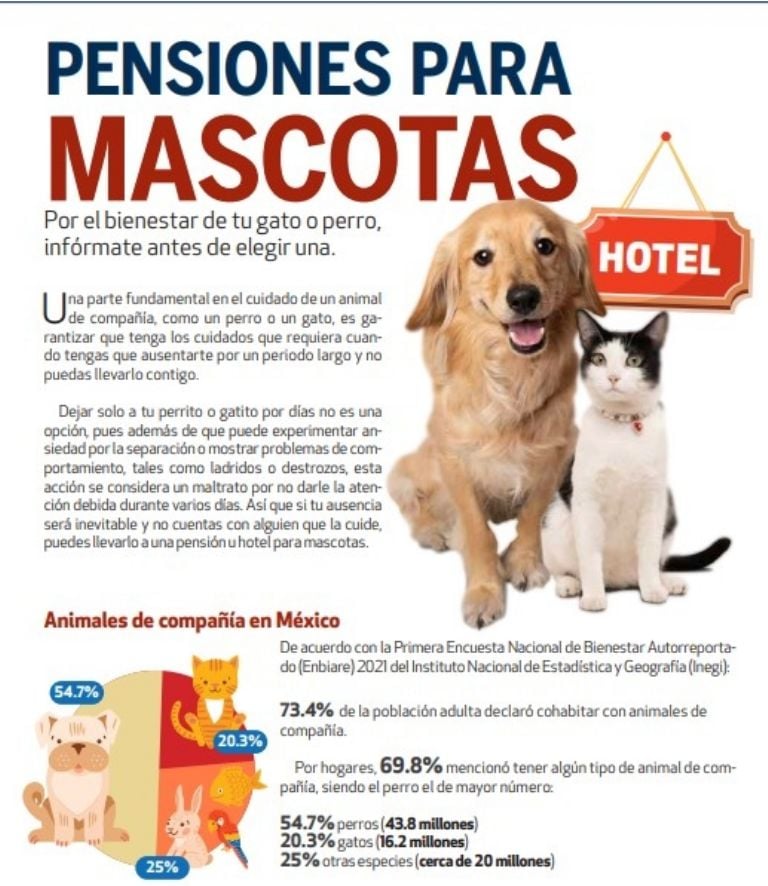 La PROFECO evaluó varias pensiones para mascotas.(Crédito: Profeco)