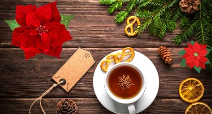 ¿Cómo se prepara el té de nochebuena? Propiedades y beneficios de tomarlo en invierno