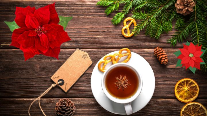 ¿Cómo se prepara el té de nochebuena? Propiedades y beneficios de tomarlo en invierno