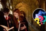 Foto ilustrativa de la nota titulada: Serie de Harry Potter, este icónico personaje llega a la pantalla tras no aparecer en las películas