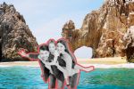 Foto ilustrativa de la nota titulada: Las playas menos exploradas de Baja California Sur que son un paraíso y muy pocos conocen