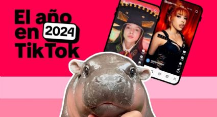 Los mejores creadores de contenido en TikTok 2024, de Doris Jocelyn a Mario Aguilar