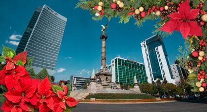 Festival Flores de Noche Buena: Una gran opción para recorrer en la CDMX | ¿Dónde y cuándo?