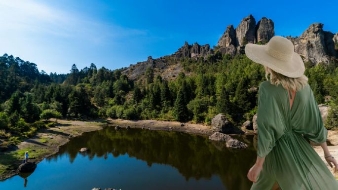 ¿Un bosque que no le pide nada a los Alpes suizos? Está en un rincón de Hidalgo que pocos conocen