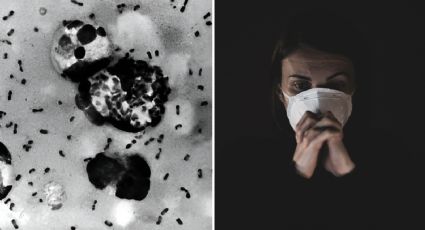 ¿Qué síntomas produce la peste bubónica y por qué está causando alarma en el mundo?