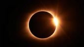 Así afectará el eclipse solar 2024 a tu perro y gato