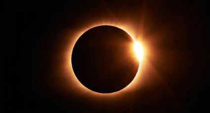 Así afectará el eclipse solar 2024 a tu perro y gato