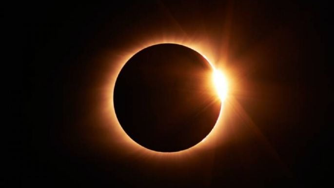 Así afectará el eclipse solar 2024 a tu perro y gato