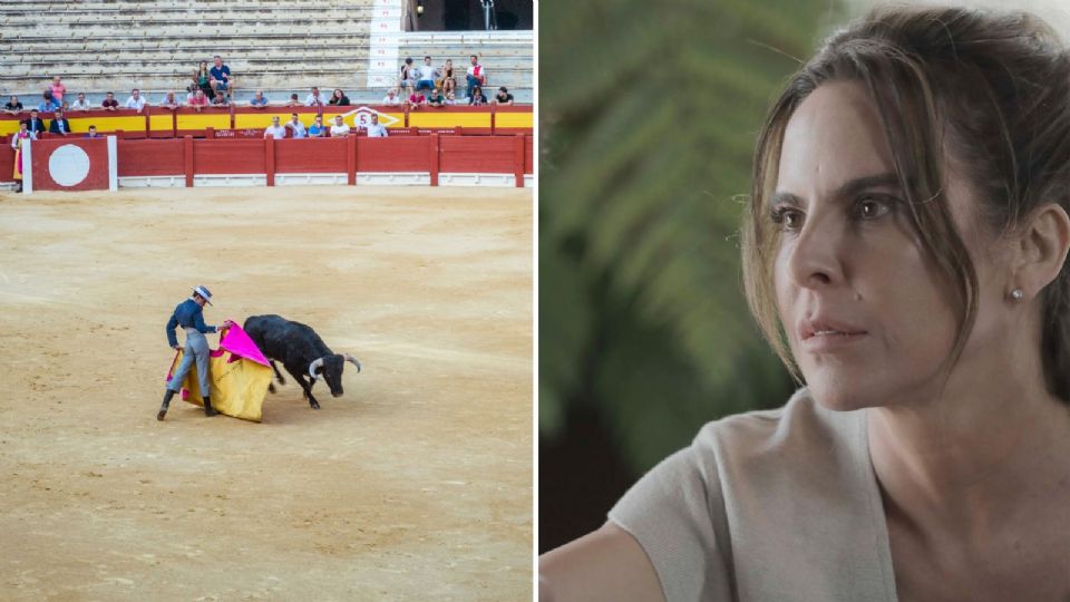 Postura de Kate del Castillo sobre las Corridas de Toros en México