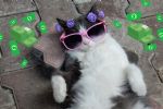 Cuatro gatos famosos y millonarios ¿A cuánto asciende su fortuna?