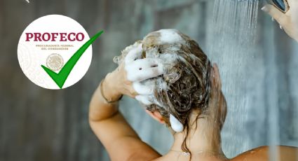 5 shampoos profesionales  mejor calificados por PROFECO