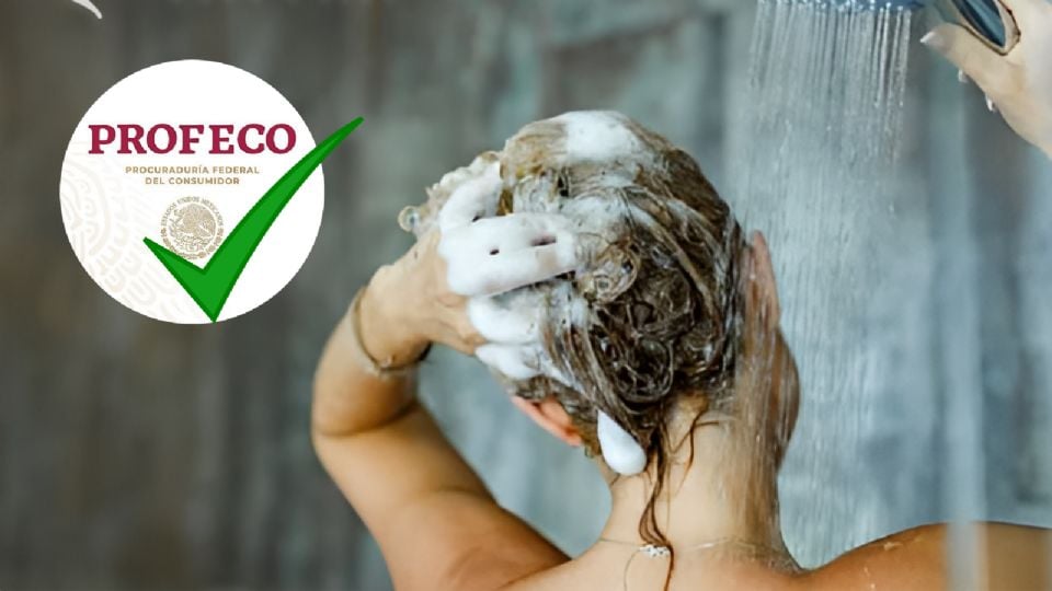 Los shampoos mejor calificados por PROFECO
