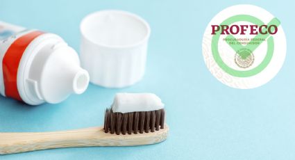 PROFECO: Esta es la mejor pasta de dientes para niños según la revista del consumidor