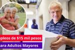 Empleo para adultos mayores: Estos son los requisitos para aplicar a la vacante con salario de 15 mil pesos