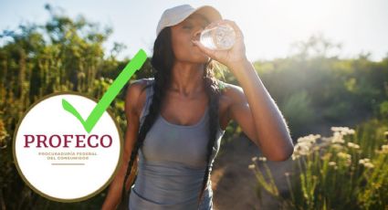 5 beneficios de tomar Pulque, bebida mexicana milenaria