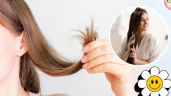 ¿Cómo se usa la vaselina en el cabello? Así puedes reparar las puntas abiertas