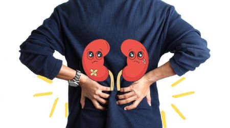 Enfermedades de los riñones: ¿Por qué se produce la insuficiencia renal y cuáles son sus síntomas?