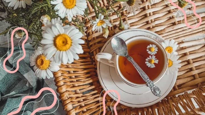 ¿Para qué sirve el té de manzanilla y cuáles son sus beneficios? Estos son sus efectos para la salud