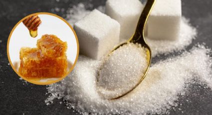 Azúcar o miel: ¿Qué es mejor para endulzar?