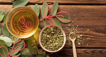 ¿Para qué sirve el té de orégano y cuáles son los beneficios de tomarlo?
